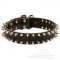 Spiked Dog Collar with 2-Row Spikes | New Original Dog Collar