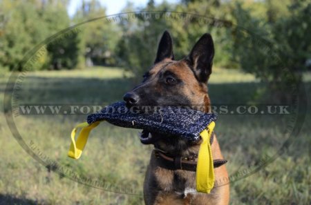 French Linen Dog Bite Tug with 2 Handles