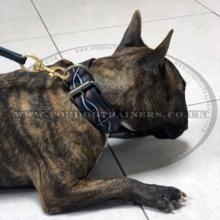 Designer Dog Collar "Barbed Wire" Style for Large Dog Breeds UK