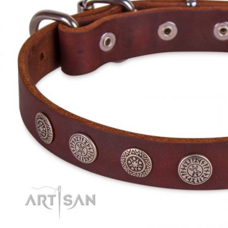 Dark Brown Leather Dog Collar | Exclusive Dog Collar UK FDT Artisan