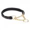 Martingale Collar for Big Dogs with Black Nappa Lining and Chain
