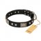 Brave Dog Collar Designs with Skulls "Pirates Gold" FDT Artisan