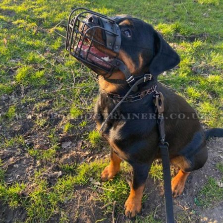 High-Quality Metal Wire Dog Muzzle "For Everyone" For Daily Walks