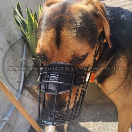 Dachshund Basket Muzzle | Plastic Coated Wire Dog Muzzle