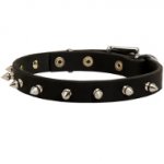 Spiked Dog Collar Strong Leather