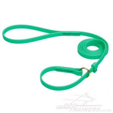 Green Dog Collar and Leash with Handle 2 in 1 Set Combo Biothane