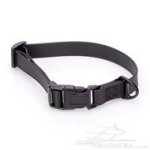 Extra Strong Dog Collar for Puppies and Young Active Dogs 0.8"