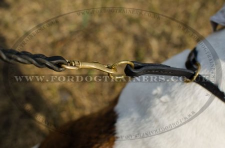 "Simple Honesty" Leather Choke Collar For Bulldogs For Obedience Training