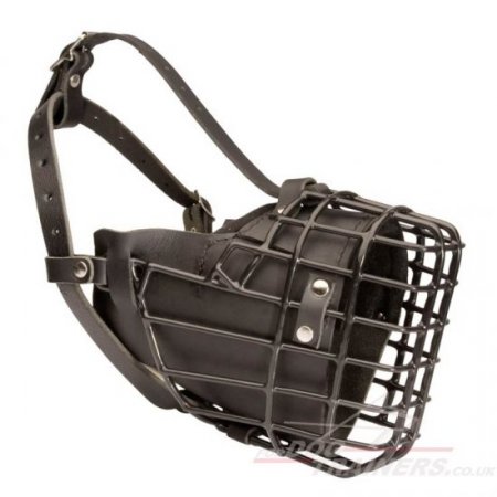 K9 Dog Muzzle for Belgian Malinois Agiation Training