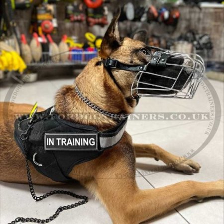 Malinois Harness with Reflective Trim | Nylon Dog Harness