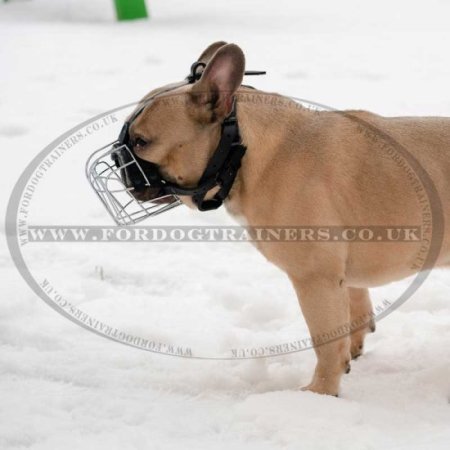 The Best French Bulldog Muzzle UK for Flat Nosed Dogs