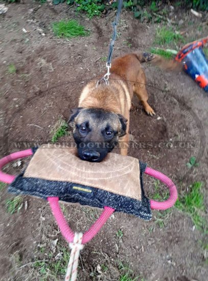 Dog Bite Pad Improved for Strong Dog Training