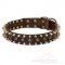 Dog Fashion Collar For Large Dogs from Producer Direclty!