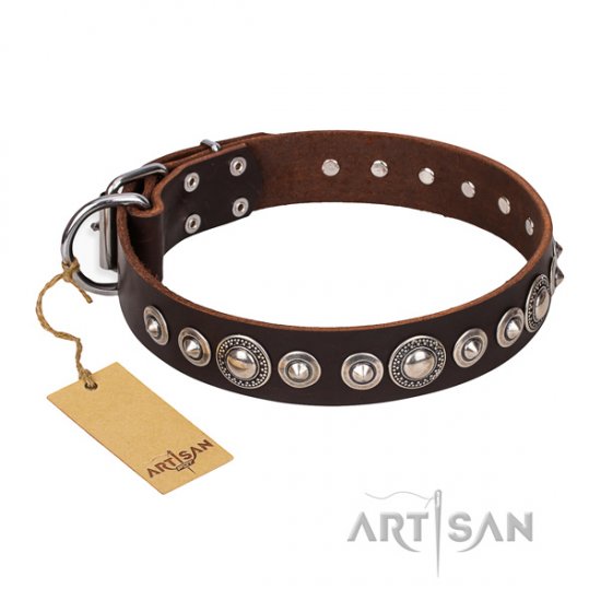 Artisan Dog Collar "Step and Sparkle" with Silver Studs