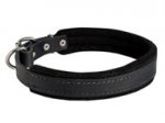 Soft 1 Inch Leather Dog Collar with Padding of Felt