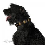 "Fashion Hymn" Nice Black Leather Collar For Dog With Studs FDT Artisan_5