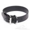 Advanced Biothane Waterproof Dog Collar with Buckle Closure