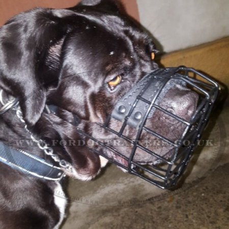 Eat and Drink Black Wire Dog Muzzle for Winter & Summer Allows Panting