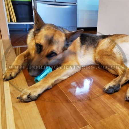 Durable Dog Dental Chew Toy "DENTA FUN RUGBY BALL"