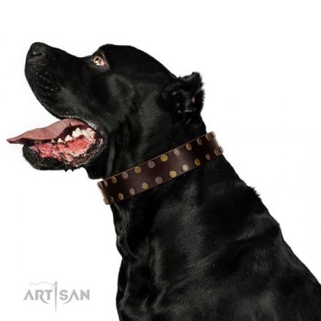 "To The Moon And Back" Studded Soft Brown Leather Dog Collar FDT Artisan