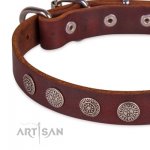Dark Brown Leather Dog Collar | Exclusive Dog Collar UK FDT Artisan_4