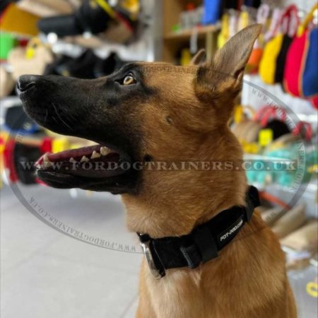 NEW! Best K9 Police Dog Collar with Handle and Cobra Buckle