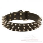 Quality Dog Collar UK with Spikes