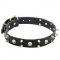 Special Design of Dog Collar with Brass Spikes and Skulls