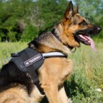 Good German Shepherd Harness UK with Reflexive Strap and Patches