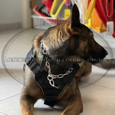 Best Dog Harness for German Shepherd Training and Walking