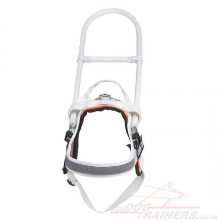 Assistance Dog Mobility Harness For Service Dogs MEDIUM SIZE ONLY