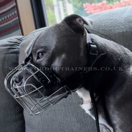 Large Wire Dog Muzzle for Big Dog Breeds UK Bestseller