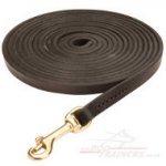 Long Dog Lead for Dog Training 10mm | Best Large Dog Products