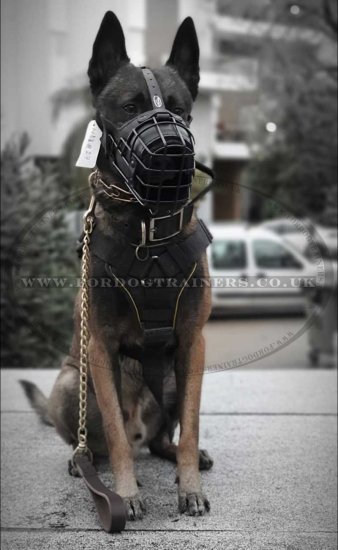 K9 Dog Muzzle for Belgian Malinois Agiation Training