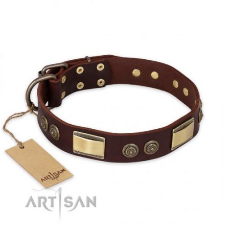 Noble Brown Leather Collar for Big Dogs "Golden Stones" Artisan