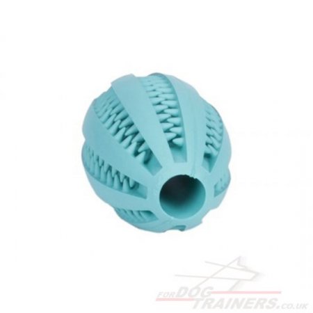 Durable Dog Dental Chew Toy "DENTA FUN RUGBY BALL"