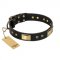 Black Dog Collar with Brass Finery "Black Sun" FDT Artisan
