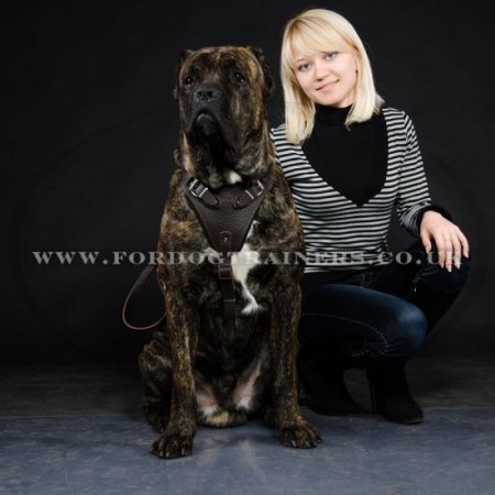 Extra Large Strong Dog Harness K9 for Big Dogs K9 Brown Leather