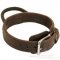 Dog Leather Collar with Handle and Chromium Plated Hardware