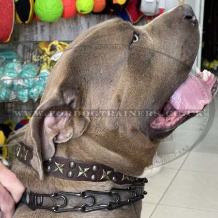 Black Steel Dog Training Collar for Big Dogs, 4 mm Gauge