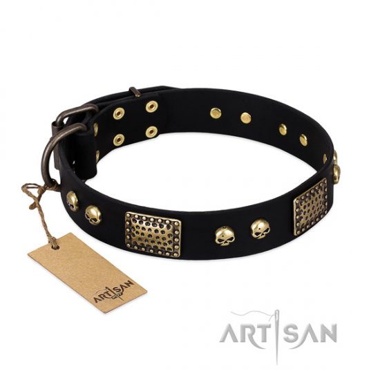 Handsome Dog Collar "Biker Style" by FDT Artisan