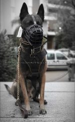 Dog Belgian Malinois Harness | Dog Harness with Handle for Sale_2
