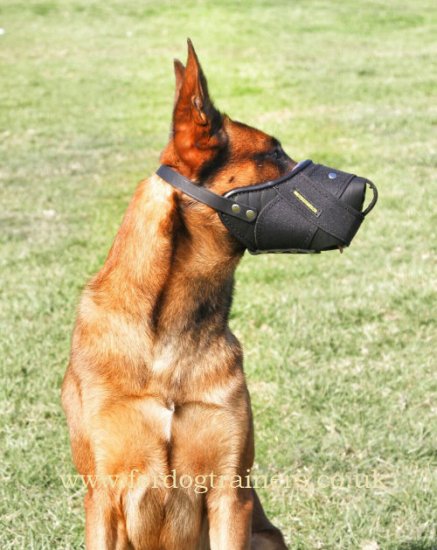 K9 Belgian Malinois Muzzle: The Most Humane Dog Muzzle
