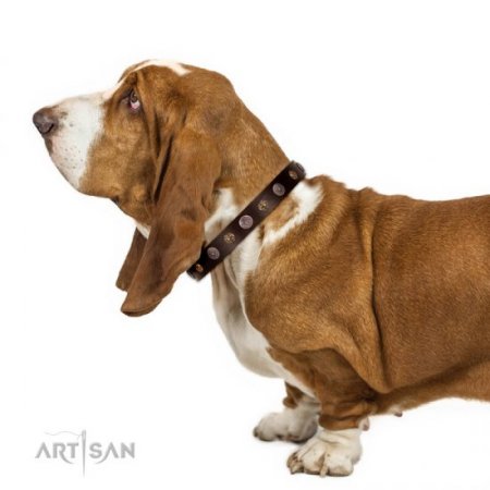 Extraordinary Soft Brown Leather Dog Collar Adorned With Glossy Studs