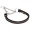 Small Martingale Collar for Dogs with Chrome Chain&Black Lining