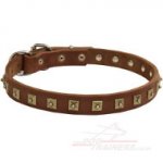 1 Inch Dog Collar Brass Studded Leather
