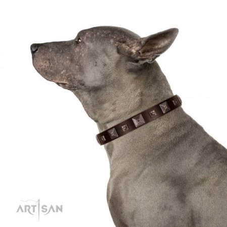 Brown Studded Buckle Dog Collar FDT Artisan For Reliable Control