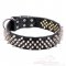 Silver-Sparkling Dog Collar with Spikes, Extra Wide