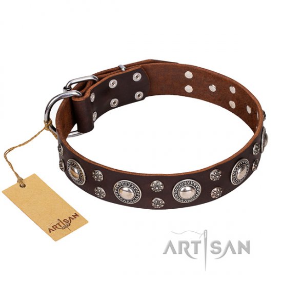 "Age of Beauty" FDT Artisan Brown Leather Dog Collar with Studs - Click Image to Close