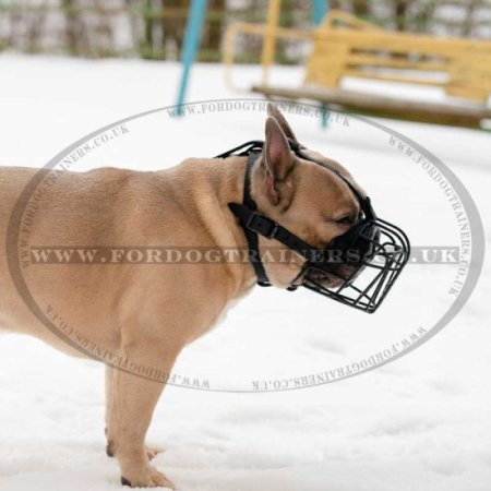 Black Rubber Covered French Bulldog Dog Muzzle for a Flat Face